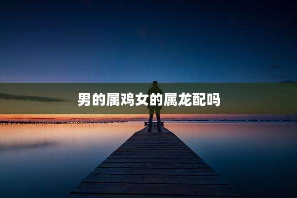 男的属鸡女的属龙配吗