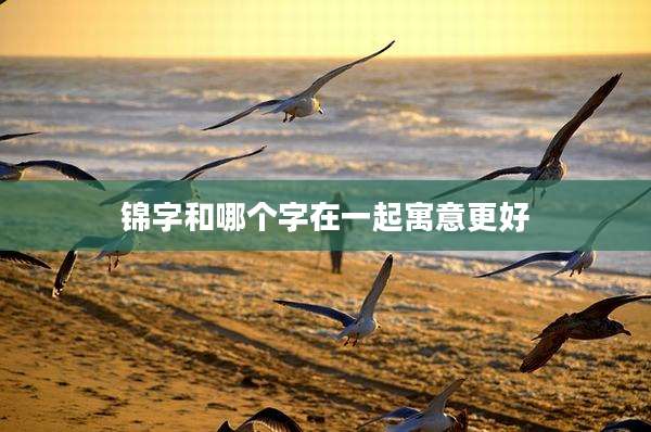 锦字和哪个字在一起寓意更好