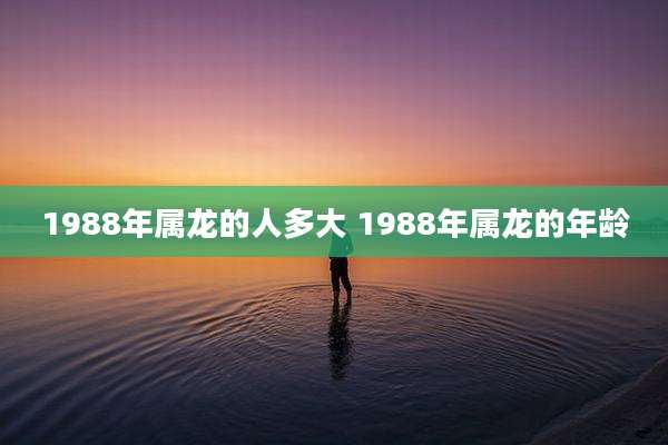 1988年属龙的人多大 1988年属龙的年龄