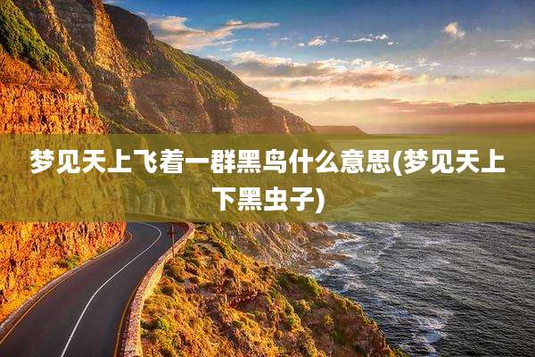 梦见天上飞着一群黑鸟什么意思(梦见天上下黑虫子)