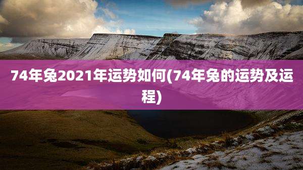 74年兔2021年运势如何(74年兔的运势及运程)