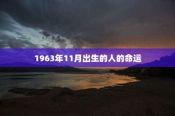 1963年11月出生的人的命运