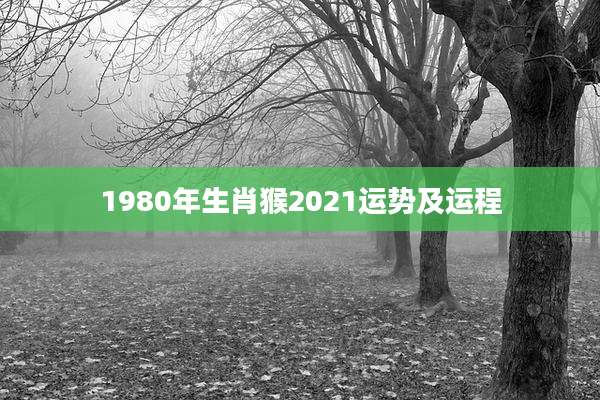 1980年生肖猴2021运势及运程