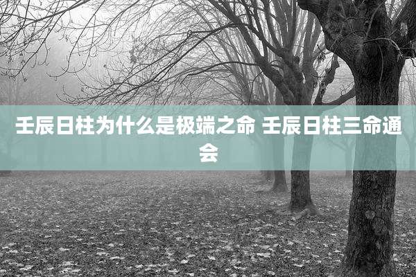 壬辰日柱为什么是极端之命 壬辰日柱三命通会