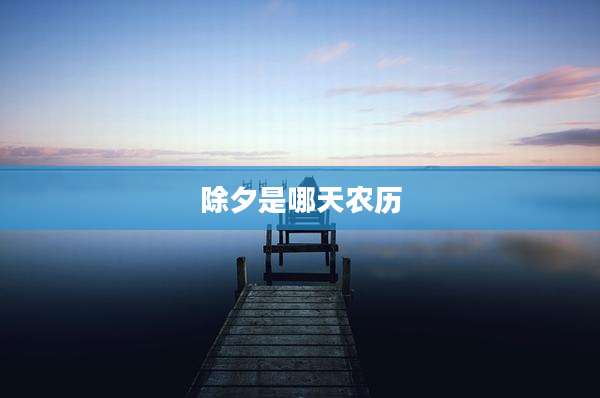 除夕是哪天农历
