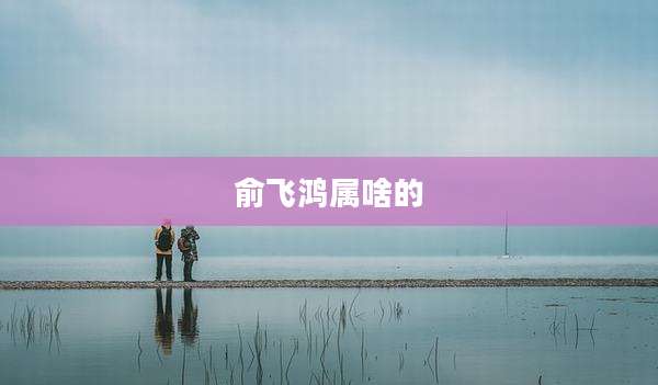 俞飞鸿属啥的