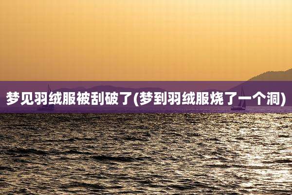 梦见羽绒服被刮破了(梦到羽绒服烧了一个洞)
