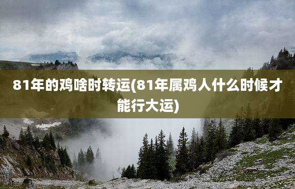 81年的鸡啥时转运(81年属鸡人什么时候才能行大运)