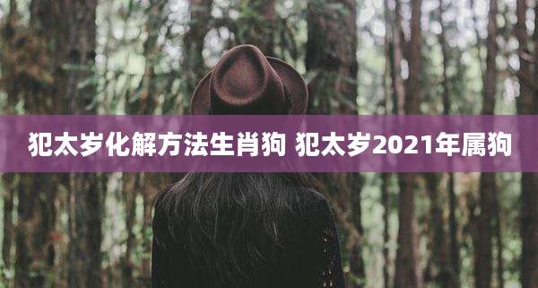 犯太岁化解方法生肖狗 犯太岁2021年属狗