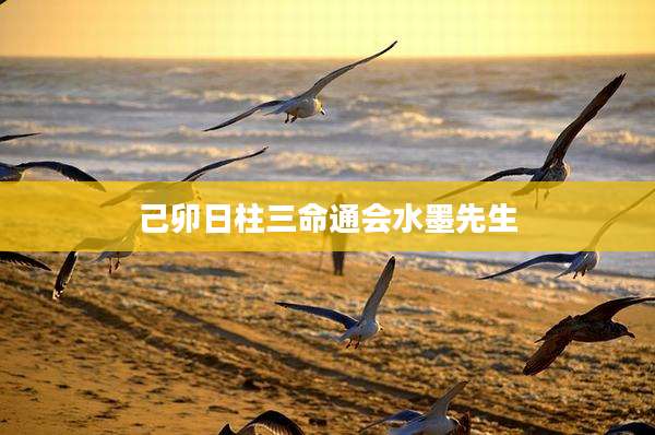 己卯日柱三命通会水墨先生