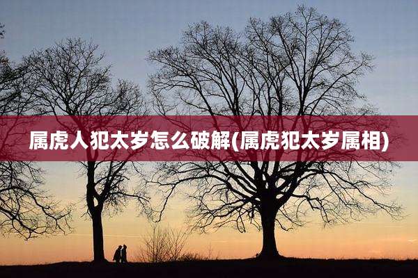 属虎人犯太岁怎么破解(属虎犯太岁属相)