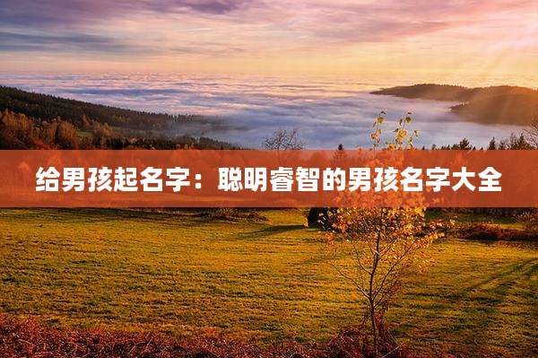 给男孩起名字：聪明睿智的男孩名字大全