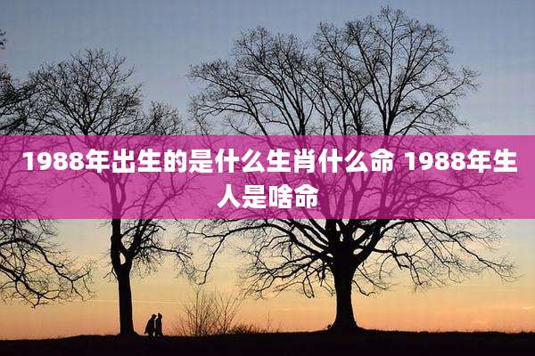 1988年出生的是什么生肖什么命 1988年生人是啥命