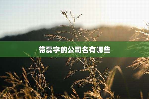 带磊字的公司名有哪些