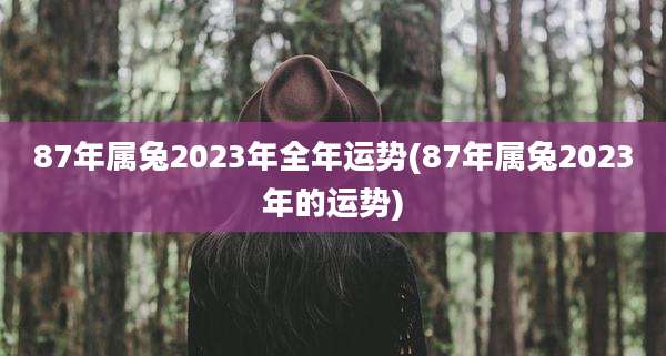87年属兔2023年全年运势(87年属兔2023年的运势)