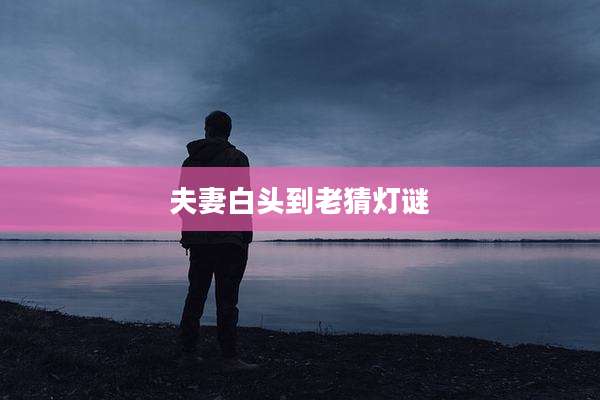 夫妻白头到老猜灯谜