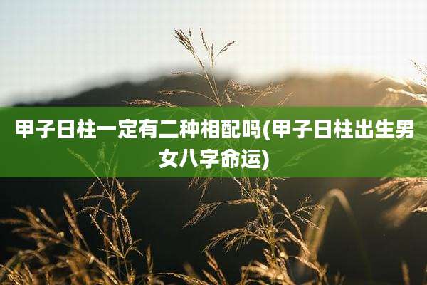 甲子日柱一定有二种相配吗(甲子日柱出生男女八字命运)