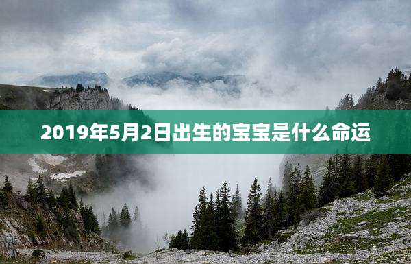 2019年5月2日出生的宝宝是什么命运