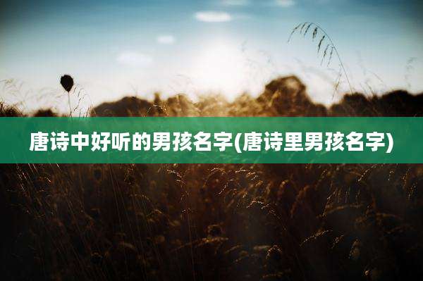 唐诗中好听的男孩名字(唐诗里男孩名字)