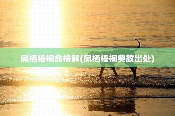 凤栖梧桐命格解(凤栖梧桐典故出处)