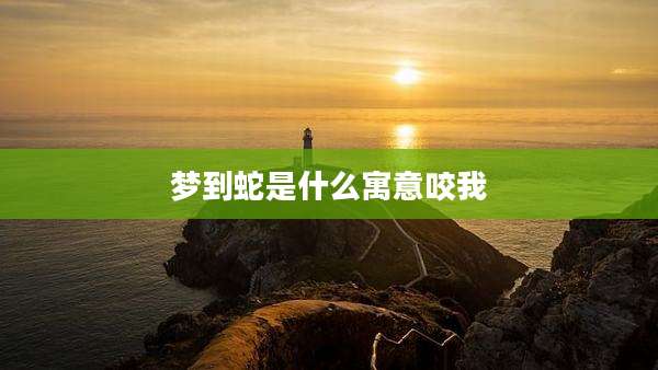 梦到蛇是什么寓意咬我