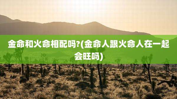金命和火命相配吗?(金命人跟火命人在一起会旺吗)