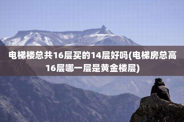 电梯楼总共16层买的14层好吗(电梯房总高16层哪一层是黄金楼层)