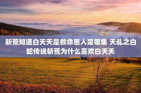 斩荒知道白夭夭是救命恩人是哪集 天乩之白蛇传说斩荒为什么喜欢白夭夭