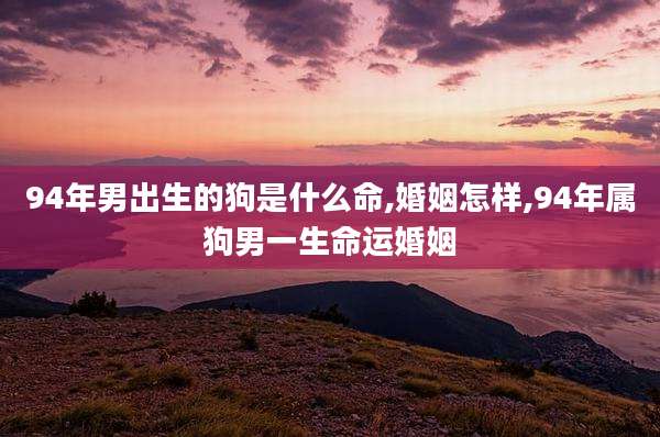 94年男出生的狗是什么命,婚姻怎样,94年属狗男一生命运婚姻
