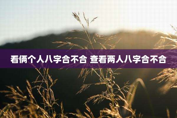看俩个人八字合不合 查看两人八字合不合