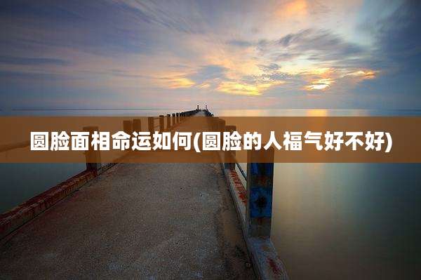 圆脸面相命运如何(圆脸的人福气好不好)
