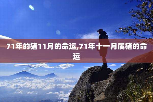 71年的猪11月的命运,71年十一月属猪的命运