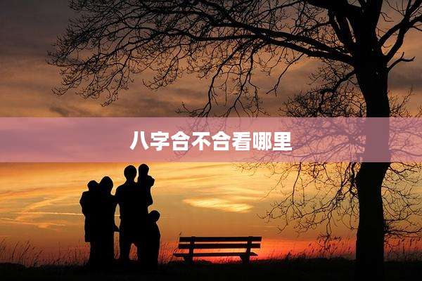 八字合不合看哪里