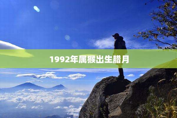 1992年属猴出生腊月
