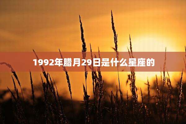 1992年腊月29日是什么星座的