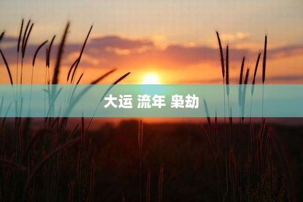 大运 流年 枭劫