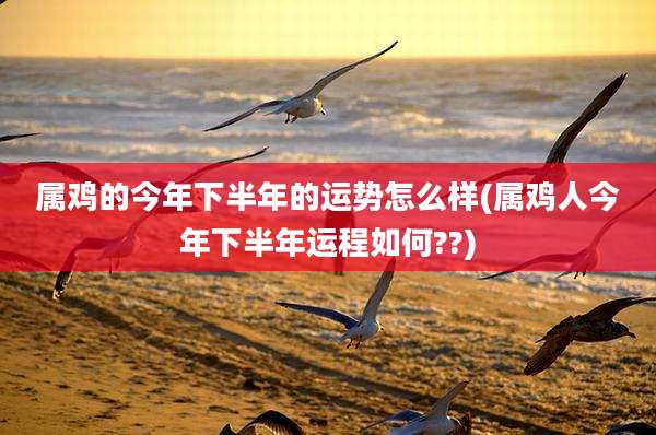 属鸡的今年下半年的运势怎么样(属鸡人今年下半年运程如何??)