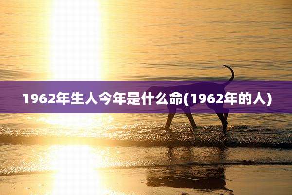 1962年生人今年是什么命(1962年的人)