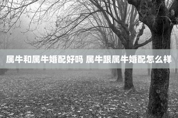 属牛和属牛婚配好吗 属牛跟属牛婚配怎么样