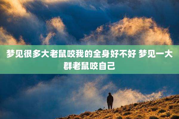 梦见很多大老鼠咬我的全身好不好 梦见一大群老鼠咬自己