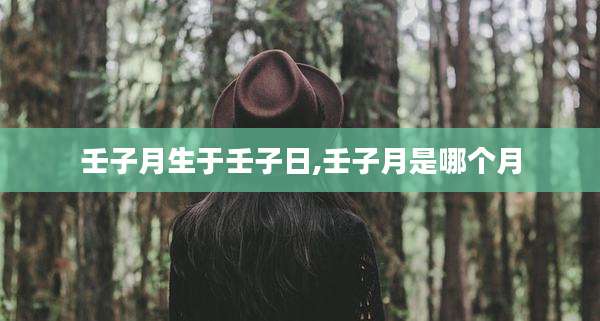 壬子月生于壬子日,壬子月是哪个月