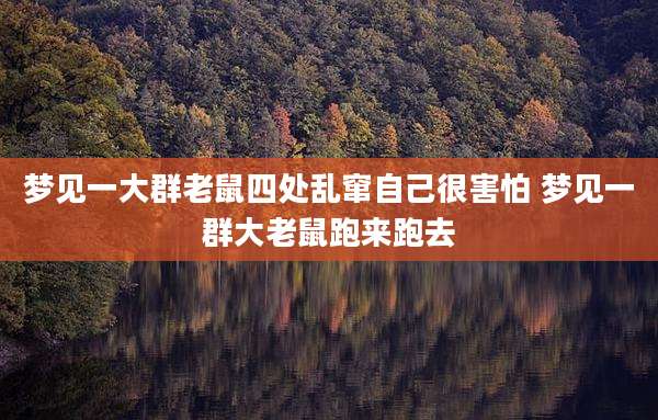 梦见一大群老鼠四处乱窜自己很害怕 梦见一群大老鼠跑来跑去
