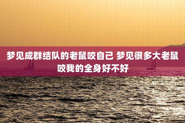 梦见成群结队的老鼠咬自己 梦见很多大老鼠咬我的全身好不好