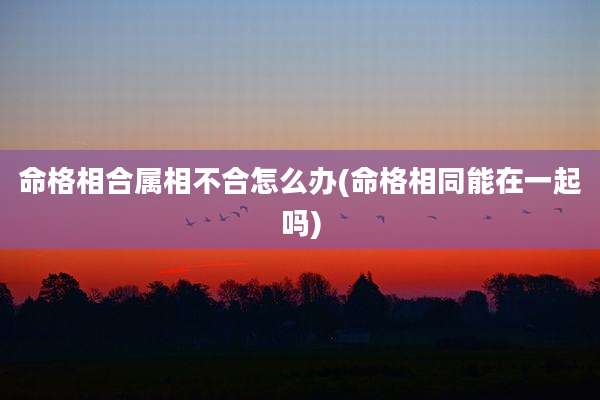 命格相合属相不合怎么办(命格相同能在一起吗)