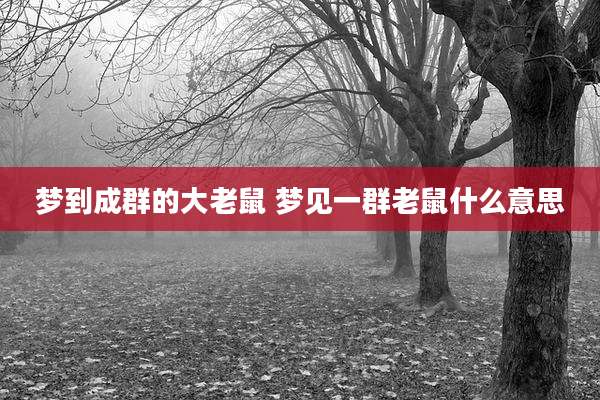 梦到成群的大老鼠 梦见一群老鼠什么意思