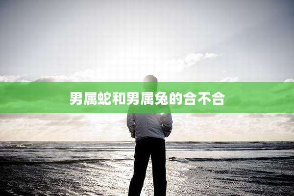 男属蛇和男属兔的合不合