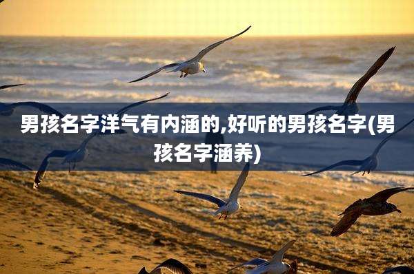 男孩名字洋气有内涵的,好听的男孩名字(男孩名字涵养)