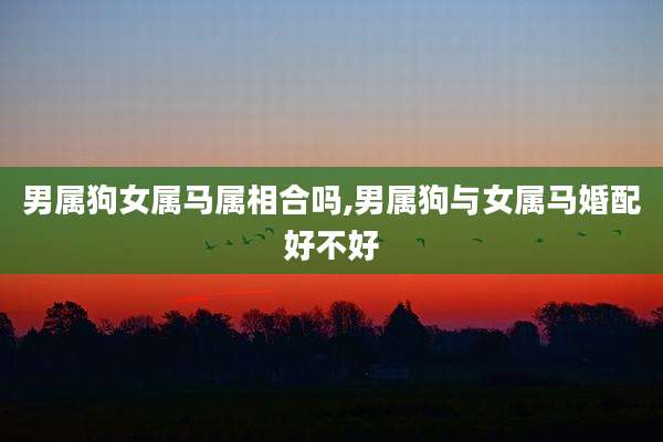 男属狗女属马属相合吗,男属狗与女属马婚配好不好