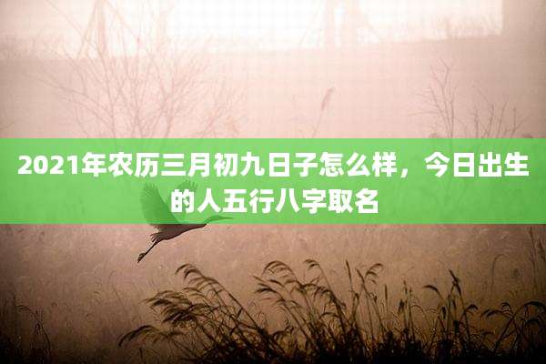 2021年农历三月初九日子怎么样,今日出生的人五行八字取名