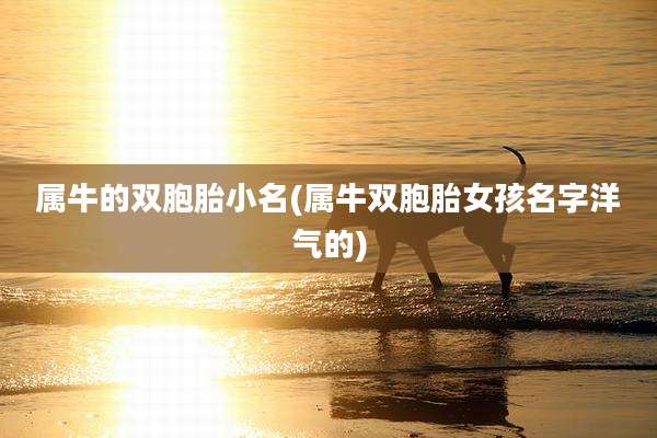 属牛的双胞胎小名(属牛双胞胎女孩名字洋气的)